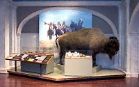 View images of the UP museum.