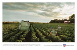 <a href="/brand/attachments/find_us/print/produce.pdf">Print from PDF</a><br>Union Pacific developed special, expedited routes to ensure fresh produce stays that way from western fields to eastern markets.