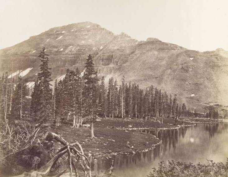 Snow and Timber, Uintah Mountains, Utah